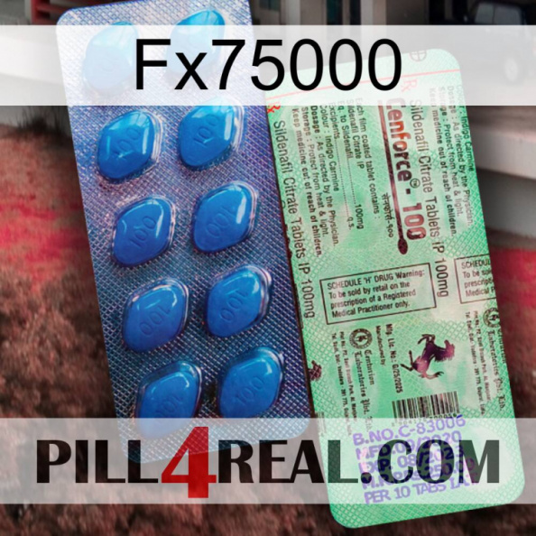 Fx75000 new02